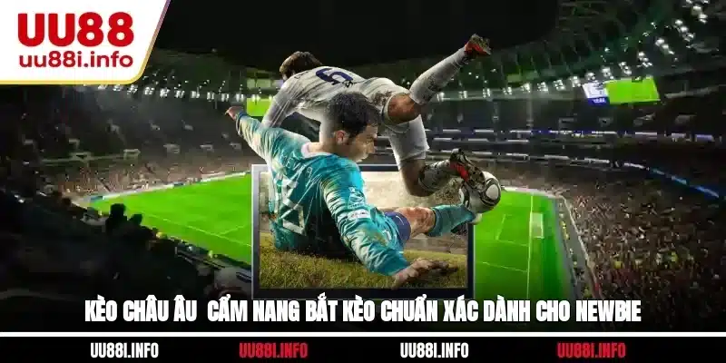 Kèo Châu Âu - Cẩm Nang Bắt Kèo Chuẩn Xác Dành Cho Newbie